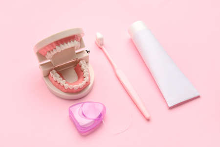 Model of jaw with toothbrush, paste and floss on color backgroundの写真素材