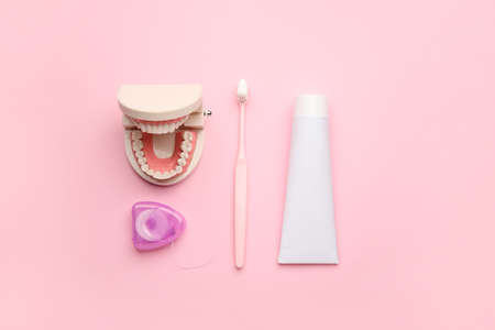 Model of jaw with toothbrush, paste and floss on color background