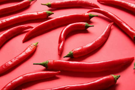 Hot chili peppers on color backgroundの写真素材