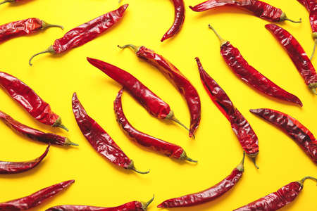 Dry hot chili peppers on color backgroundの写真素材