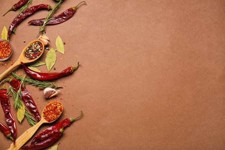 Composition with hot chili pepper and spices on color backgroundの写真素材