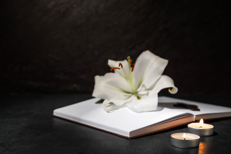 Lily flower with book and candles on dark backgroundの写真素材