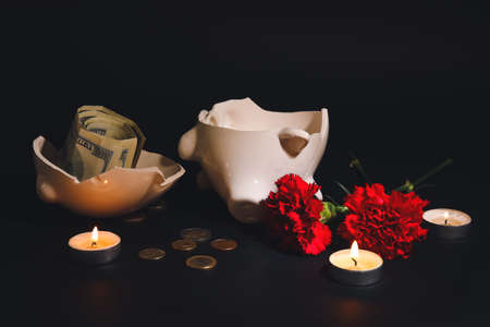 Broken piggy bank and carnation flowers on dark backgroundの写真素材
