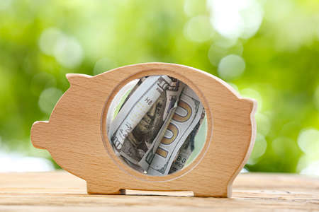 Piggy bank with money outdoorsの写真素材
