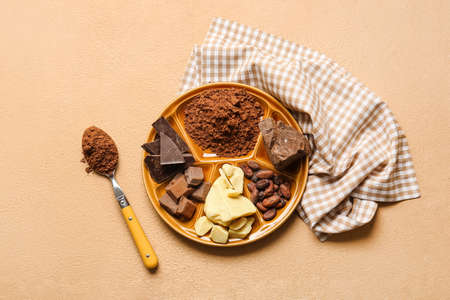 Plate with cocoa powder, beans and chocolate on color backgroundの写真素材