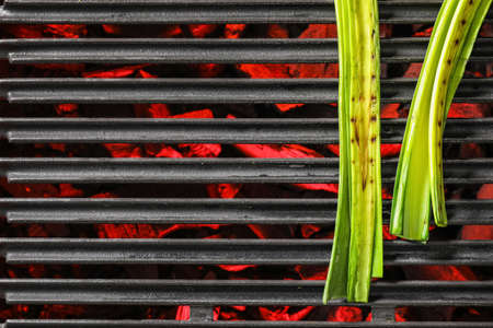 Tasty leek cooking on grillの写真素材