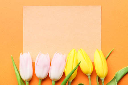 Blank card and beautiful tulips on color backgroundの写真素材