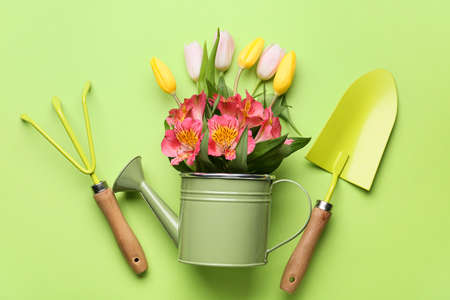 Gardening tools and flowers on color backgroundの写真素材
