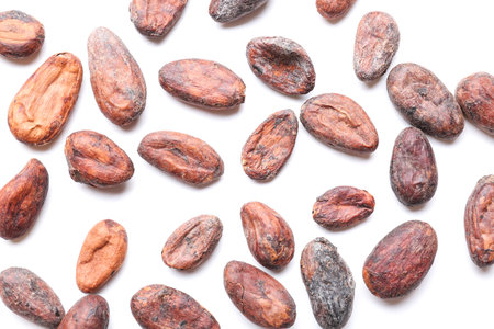 Cocoa beans on white backgroundの写真素材