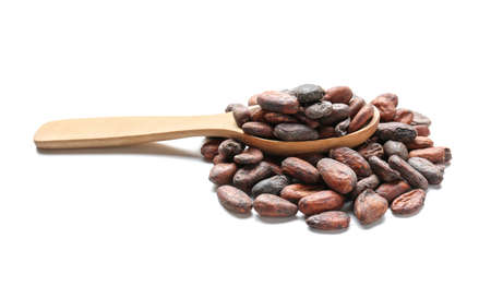 Spoon with cocoa beans on white backgroundの写真素材