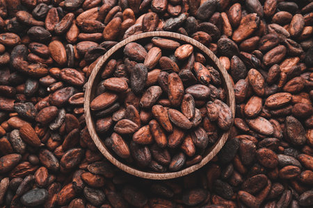 Bowl and cocoa beans as background, closeupの写真素材