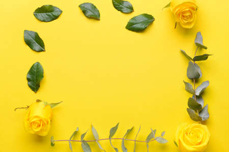 Composition with beautiful yellow roses on color backgroundの写真素材