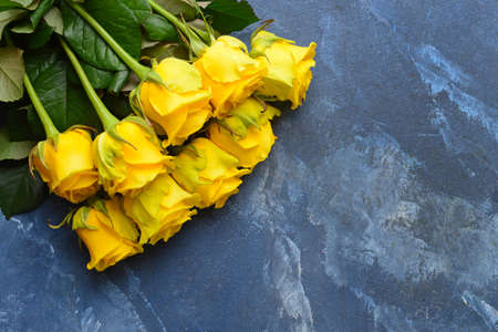 Beautiful yellow roses on color backgroundの写真素材