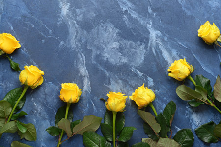 Beautiful yellow roses on color backgroundの写真素材