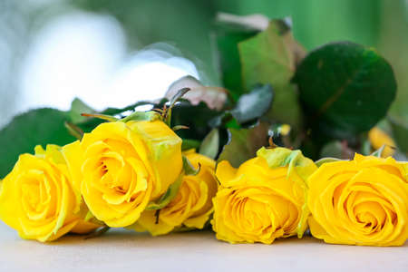 Beautiful yellow roses on table outdoorsの写真素材