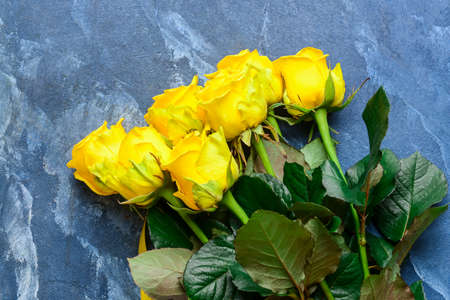 Beautiful yellow roses on color backgroundの写真素材