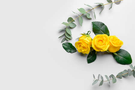 Composition with beautiful yellow roses on light backgroundの写真素材