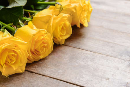 Beautiful yellow roses on wooden backgroundの写真素材