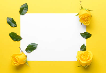 Composition with beautiful yellow roses and blank paper on color backgroundの写真素材