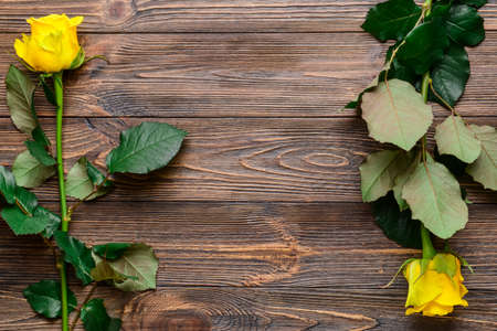 Beautiful yellow roses on wooden backgroundの写真素材