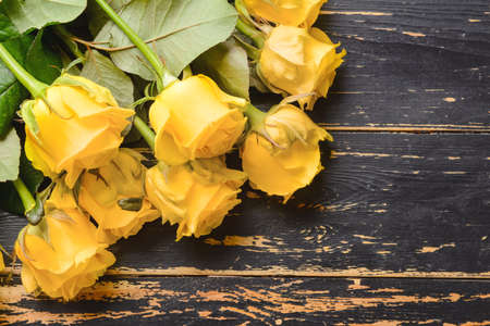 Beautiful yellow roses on wooden backgroundの写真素材