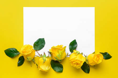 Composition with beautiful yellow roses and blank paper on color backgroundの写真素材