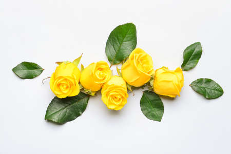 Composition with beautiful yellow roses on light background