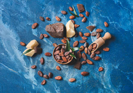 Composition with cocoa beans on color backgroundの写真素材