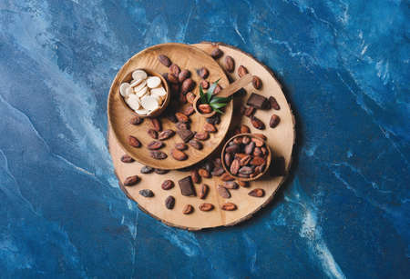 Composition with cocoa beans on color backgroundの写真素材