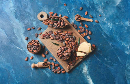 Composition with cocoa beans on color backgroundの写真素材