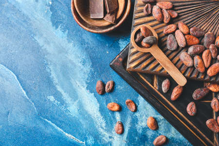 Composition with cocoa beans on color backgroundの写真素材