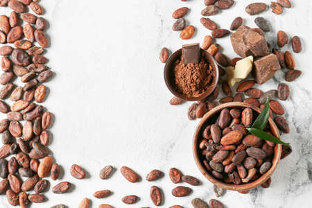 Composition with cocoa beans on light backgroundの写真素材