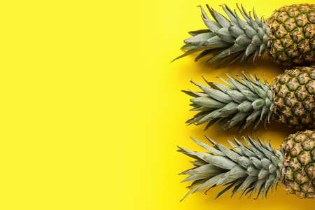 Fresh pineapples on color backgroundの写真素材