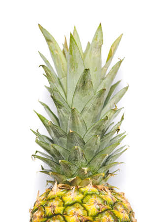 Fresh pineapple on white background