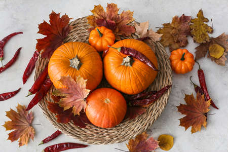 Pumpkins with chili peppers and fallen leaves on light backgroundの写真素材