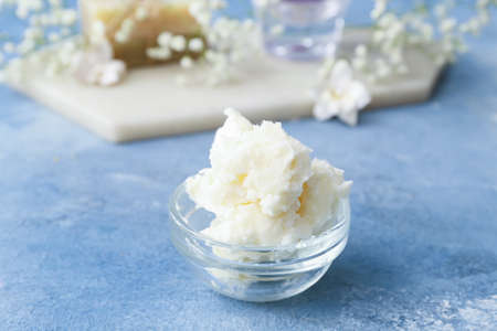Bowl with shea butter on color backgroundの写真素材