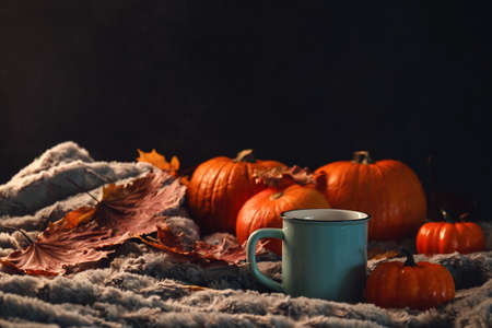 Mug and fresh pumpkins on dark backgroundの写真素材