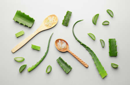 Composition with fresh cut aloe on light backgroundの写真素材