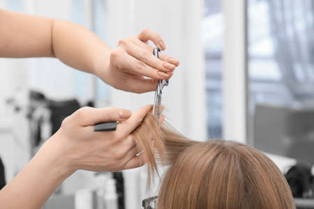Female hairdresser cutting hair of client in beauty salon, closeupの写真素材