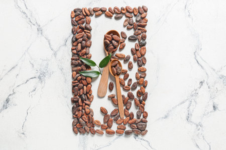 Spoons with cocoa beans on light backgroundの写真素材