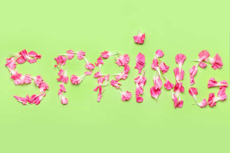 Word SPRING made of flower petals on color backgroundの写真素材