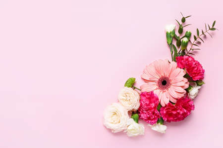 Beautiful flowers on color backgroundの写真素材