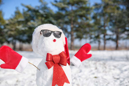 Funny snowman with sunglasses in parkの写真素材
