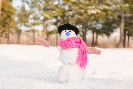Funny snowman with scarf in parkの写真素材