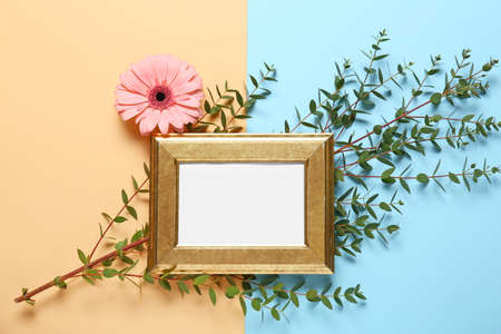 Beautiful composition with empty frame on color background