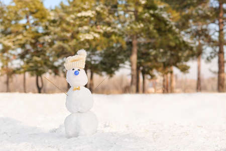 Funny snowman with hat in parkの写真素材