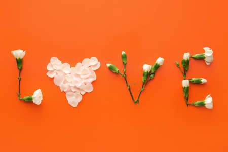 Word LOVE made of flowers and petals on color backgroundの写真素材