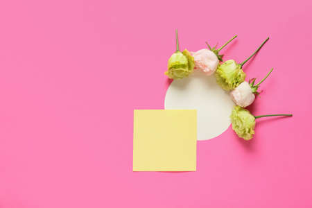 Beautiful flowers and blank cards on color backgroundの写真素材