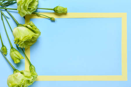 Beautiful flowers and blank frame on color backgroundの写真素材