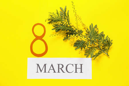 Beautiful composition for International Women's Day on color backgroundの写真素材